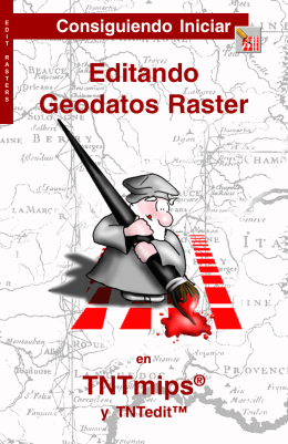 Editando Geodatos Raster TNTmips®