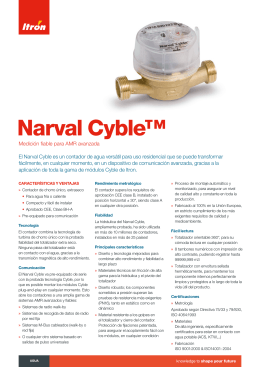 Narval Cyble™
