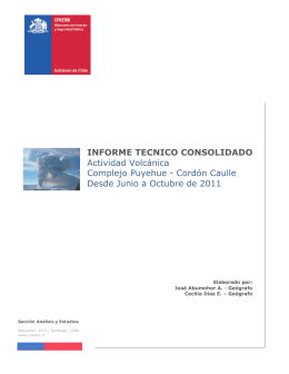 Informe Técnico Consolidado Cordón Caulle 2011