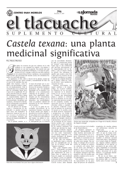 Castela texana: una planta medicinal significativa