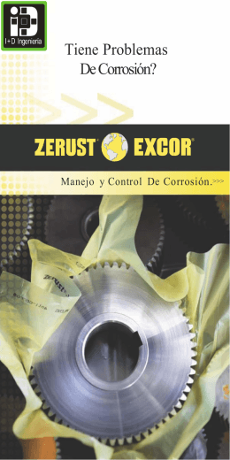 Zerust Global Solutions Brochure Hoja 1