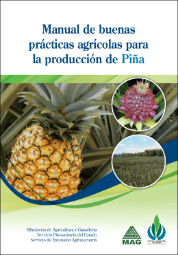 Manual de buenas prácticas agrícolas para la producción de Piña