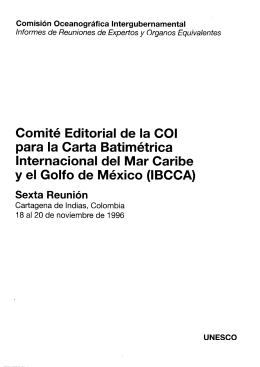 Comité Editorial de la COI para la Carta Batimétrica Internacional