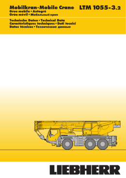 LTM 1055-3.2 - Welch`s Crane Hire