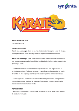 Ficha Tecnica Karate con Tecnologia Zeon.cdr