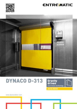 DYNACO D-313
