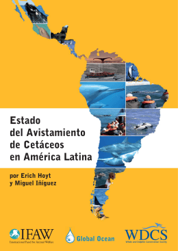 Estado del Avistamiento de Cetáceos en América Latina