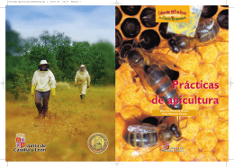 Prácticas de apicultura Prácticas de apicultura