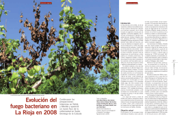 Evolución del fuego bacteriano en La Rioja en 2008