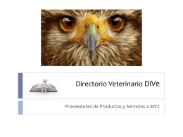 ¿Qué es Directorio Veterinario - DiVe?