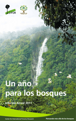 Un año para los bosques - Center for International Forestry Research