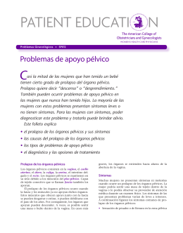 Patient Education Pamphlet, SP012, Prolapso de los órganos pélvicos