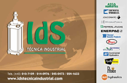 www.idstecnicaindustrial.com