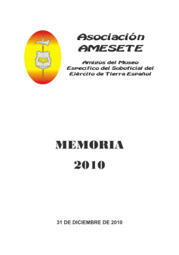 AMESETE. WEB. Memoria 2010