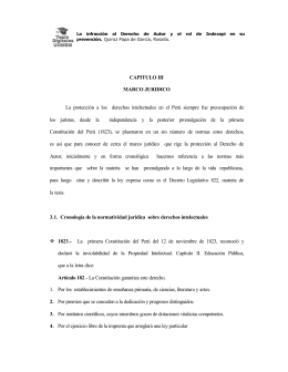CAPITULO III MARCO JURIDICO La protección a los derechos