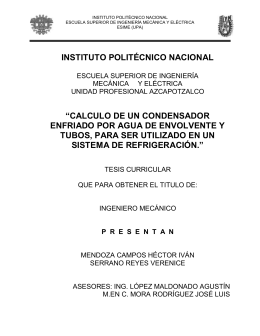 View/Open - Instituto Politécnico Nacional