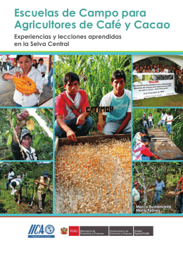 Escuelas de Campo para Agricultores de Café y Cacao
