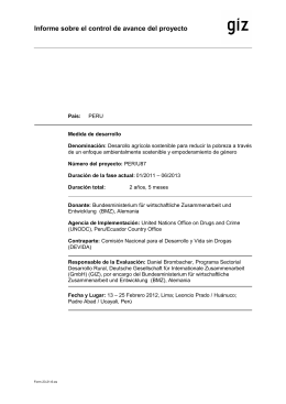 Informe EVAL INTERMED UNODC PERU87 Brombacher GIZ-27