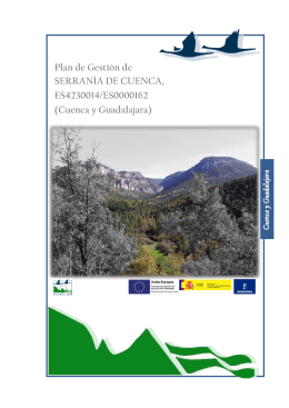 Plan de Gestión Serranía de Cuenca. Doc 3