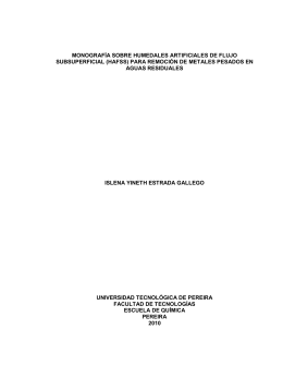 monografía sobre humedales artificiales de flujo subsuperficial