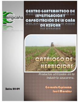 CENGICAÑA - Centro Guatemalteco de Investigación y