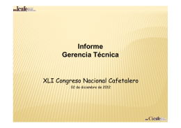 Informe Gerencia Técnica 2012