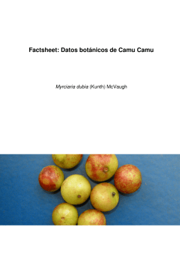 Factsheet: Datos botánicos de Camu Camu Myrciaria dubia