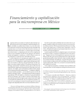 Financiamiento y capitalización para la microempresa en México
