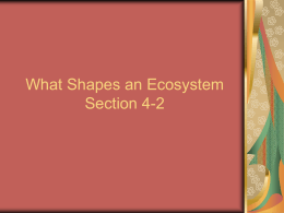 What Shapes an Ecosystem Section 4-2