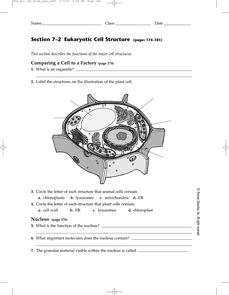 worksheet Section 7 2 Eukaryotic Cell Structure Worksheet Answers section eukaryotic cell structure