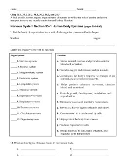 Nervous System Section 35–1 Human Body Systems (pages 891