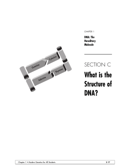 Chp. 1, Section C: DNA Structure and Replication