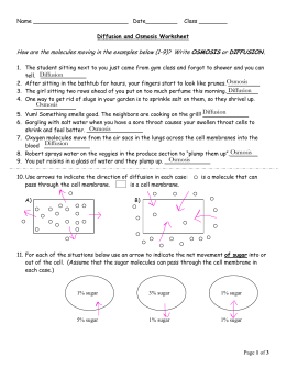 Cell Transport Answer Key - the inside of the cell what