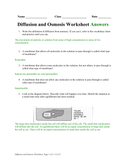Worksheet  Diffusion and Osmosis ANSWER KEY1