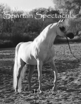 Spartan Spectacular - Horse Teaching and Research Center