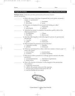 Chapter 20 Protists Chapter Vocabulary Review