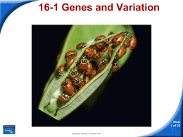 16-1 Genes and Variation