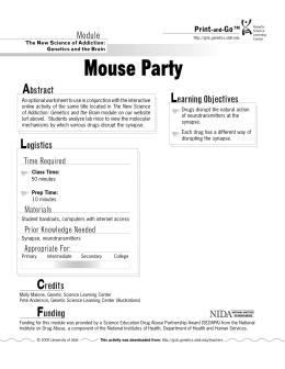 mouse party.indd - Teach Genetics Website