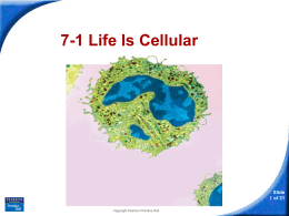 7-1 Life Is Cellular
