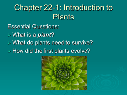 Chapter 22-1: Introduction to Plants