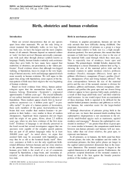 Birth, obstetrics and human evolution