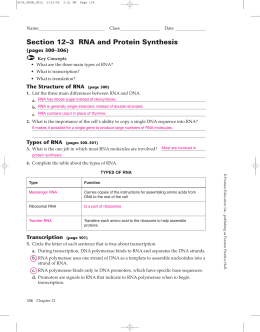 14. 2 human genetic disorders answer sheet