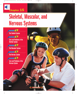 Chapter 15: Skeletal, Muscular, and Nervous Systems