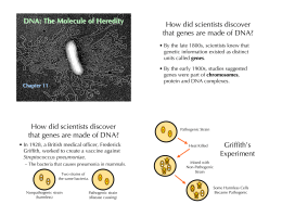 DNA: The Molecule of Heredity How did scientists discover that