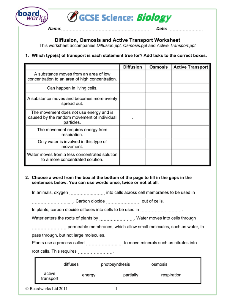 Worksheets Active Transport Worksheet diffusion osmosis and active transport worksheet