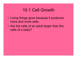 Chapter 10 cell growth