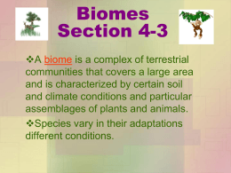 Biomes Section 4-3