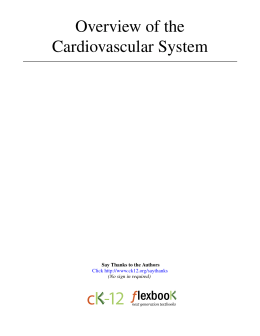 Overview of the Cardiovascular System - cK-12