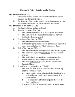 Chapter 13 Notes - Cardiovascular System 13.1 Introduction (p. 329