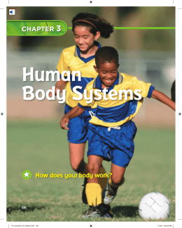 Chapter 3: Human Body Systems